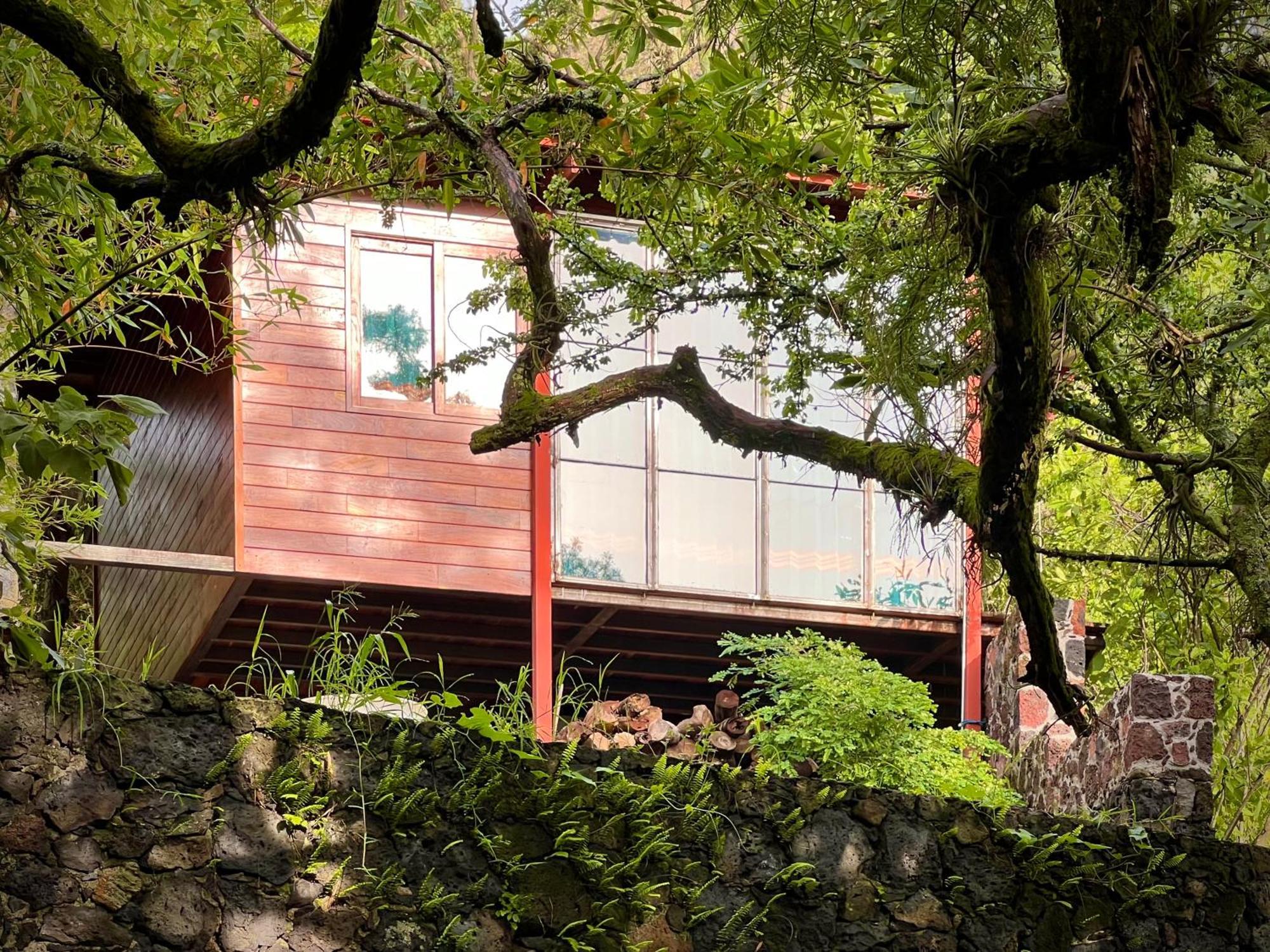 Santuario Ave Fenix-Cabanas Tepoztlan Ngoại thất bức ảnh