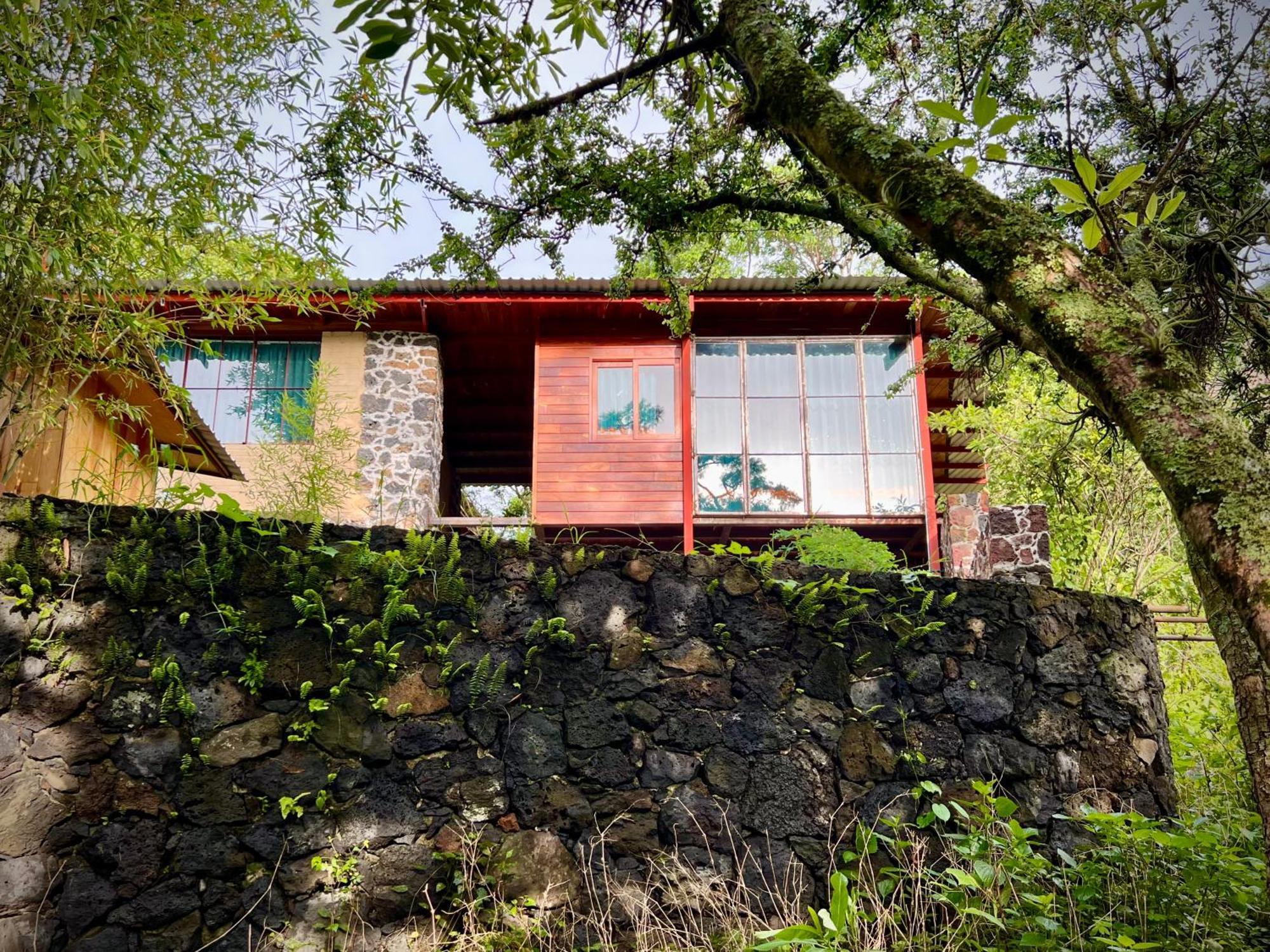 Santuario Ave Fenix-Cabanas Tepoztlan Phòng bức ảnh